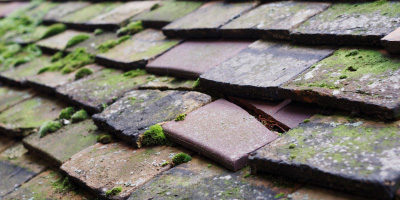 Bishopston roof repair costs